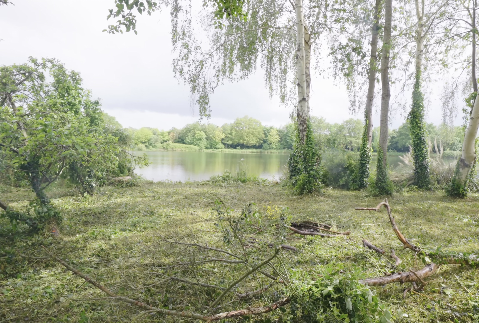 Débroussaillage du Boukistan